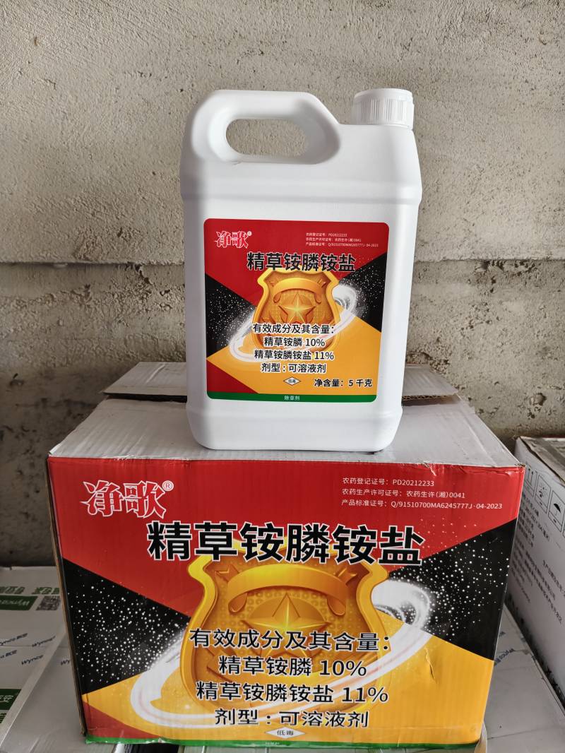 净歌