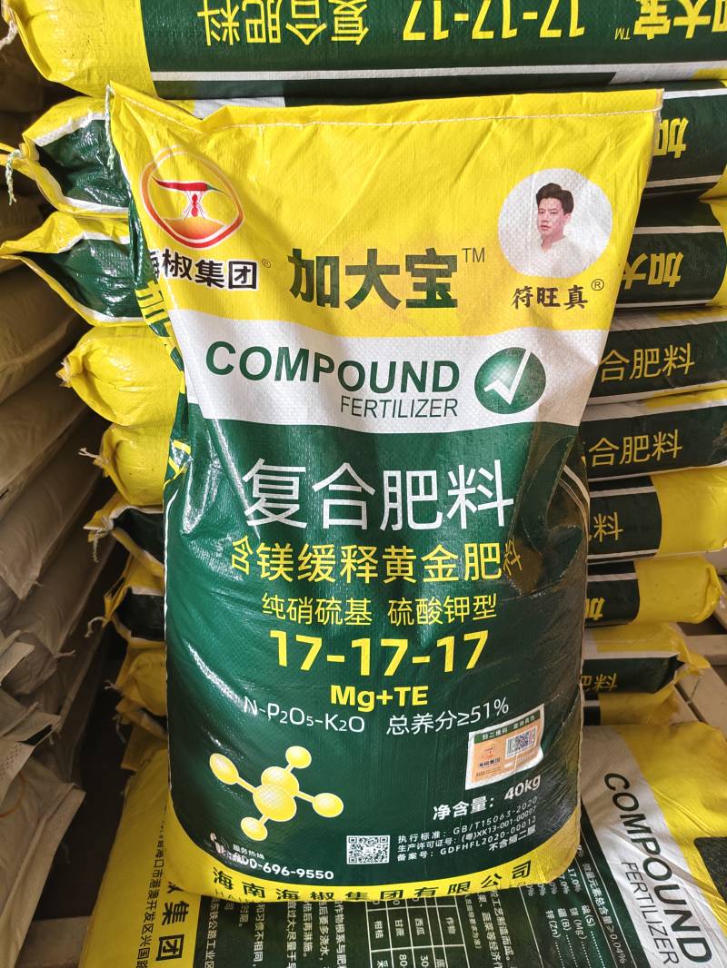加大宝