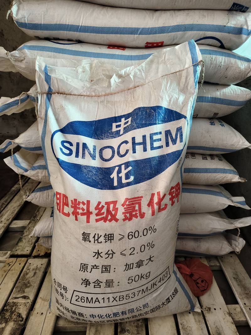 加拿大钾