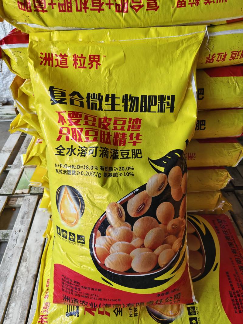 洲道粒界
