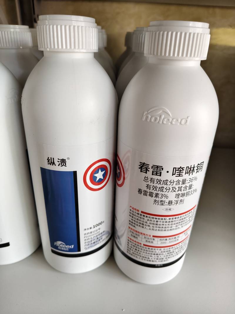 纵溃